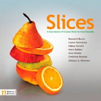 Slices - A Cross-Section of Classical Works for Small Ensemble - Burns, Sainsbury, Sundin, Bakker, Beeler, Rusnak and Fletcher. © 2012 Navona Records LLC 