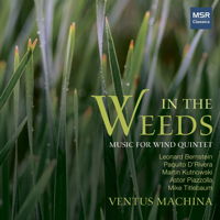 In The Weeds - Ventus Machina. © 2015 Artesmon