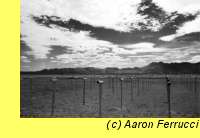 The Very Large Array. Photo (c) Aaron Ferrucci