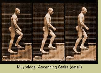 Muybridge: Ascending Stairs (detail)