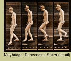 Muybridge: Descending Stairs (detail)