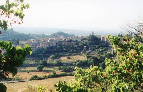 View of Spoleto from Monteluco. Photo: Bill Newman