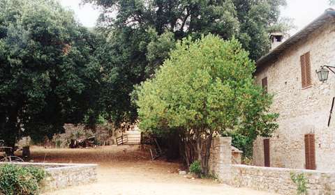 Disused farmhouse with barn and outhouses. Photo: Bill Newman