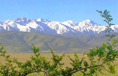 Kazakhstan mountains - just outside Almaty - highest peak around 15,000ft/5,000m. Photo: Howard Smith
