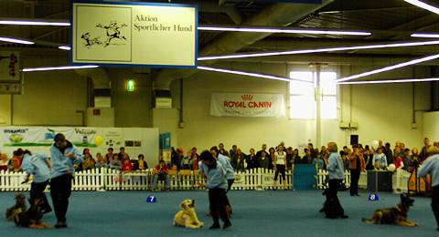 Canine choreography - the Lind-art dance performance at the 2005 Dortmund International Dog Show. Photo © Philip Crebbin