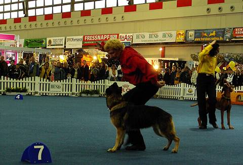 Canine dance in motion: the Lind-art company at Dortmund 2005. Photo © Philip Crebbin