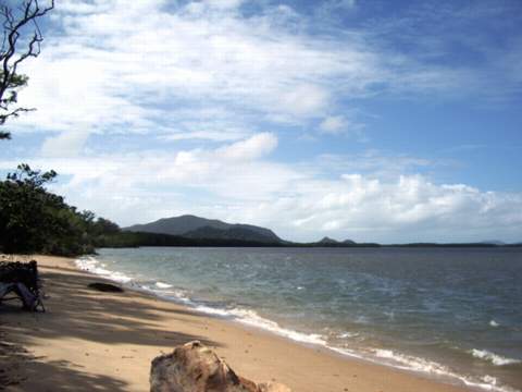 Looking along Macushla Beach, past mangroves to the mountains, Hinchinbrook Island. Photo © April 2005, Malcolm Tattersall 
