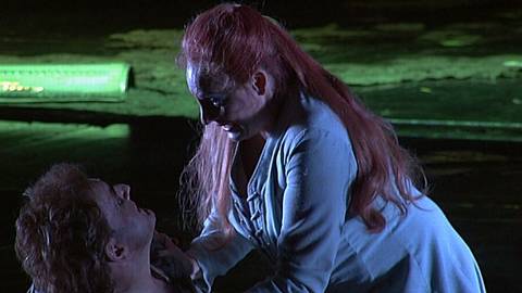 John Treleaven (Siegfried) and Deborah Polaski (Brünnhilde) in Act 3 of Wagner's 'Siegfried'. © 2005 Opus Arte