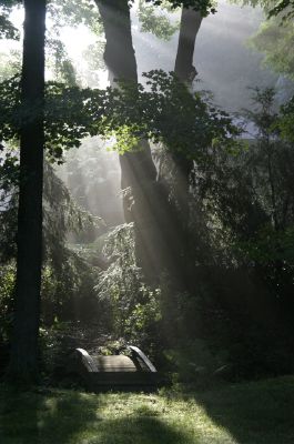 The garden in Connecticut. Photo © Rui dos Reis