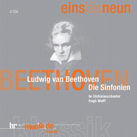 Ludwig van Beethoven: Die Sinfonien. © 2002-2007 hrmk