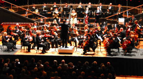 The Vector Wellington Orchestra