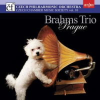 Brahms Trio Prague. © 2008 ArteSmon