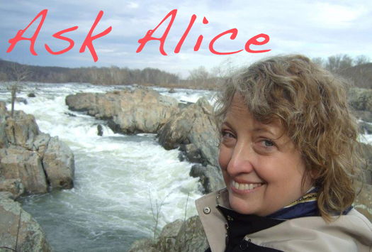 Ask Alice, with Alice McVeigh