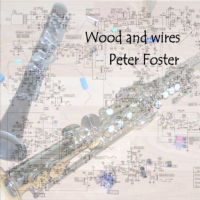 Wood and wires - Peter Foster: Music for clarinet and saxophone with electronics. &copy; 2007 Peter Foster (CD001)