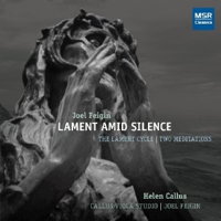 Joel Feigin: Lament Amid Silence. &copy; 2012 Joel Feigin (MS 1413)