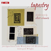 Tapestry - chamber music by Elliott Schwartz. &copy; 2013 Diversions LLC (msv 28537)