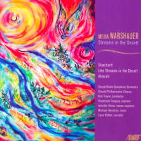 Meira Warshauer: Streams in the Desert. &copy; 2007 Meira Warshauer (TROY973)